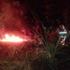 Penampakan kebun yang terbakar di Pancalang.